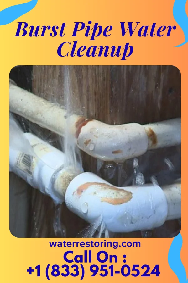 Burst Pipe Water Cleanup in Bristow, IA