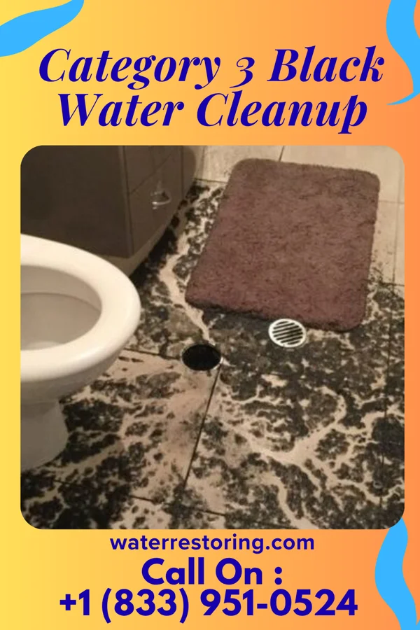 Category 3 Black Water Cleanup in Bristow, IA